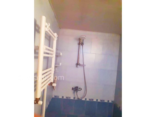 عکس شماره 504451 - اجاره ویلا استخردار در زیباکنار - 