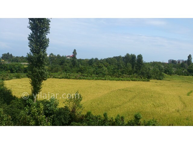 عکس شماره 5053 - اجاره طبقه سوم ویلا در رامسر - 