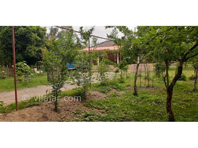 عکس شماره 508495 - اجاره ویلای جنگلی در گیسوم -