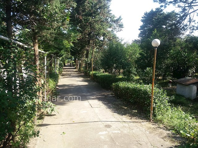 عکس شماره 509337 - اجاره ویلا باغ ساحلی استخردار رامسر - 