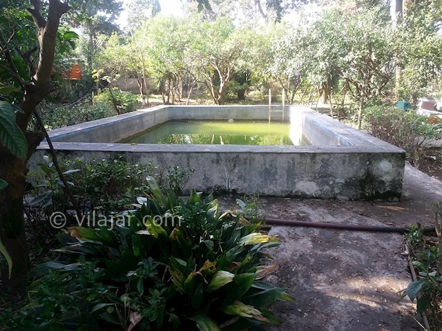 عکس شماره 509353 - اجاره ویلا باغ ساحلی استخردار رامسر - 