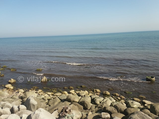 عکس شماره 509361 - اجاره ویلا باغ ساحلی استخردار رامسر - 