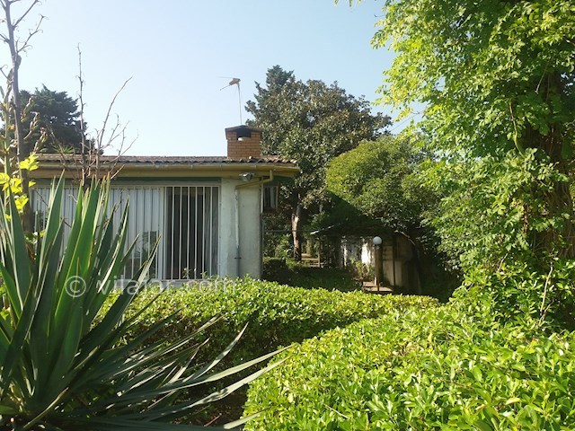 عکس شماره 509365 - اجاره ویلا باغ ساحلی استخردار رامسر - 