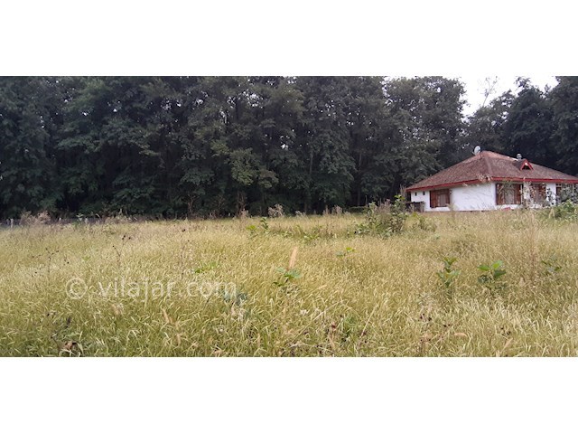 عکس شماره 511773 - ویلا با استخر روباز آبگرم تالش - 