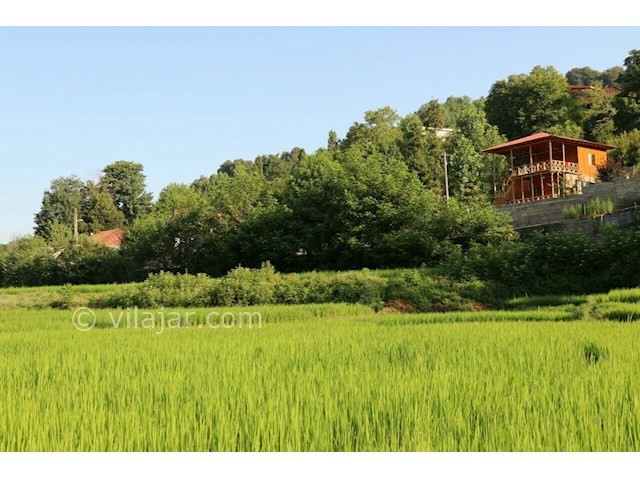 عکس شماره 512675 - اجاره کلبه جنگلی در لفور - 