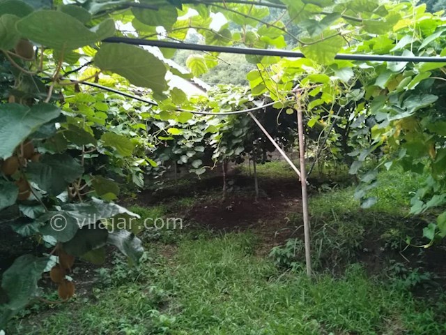 عکس شماره 513005 - رزرو خانه روستایی در تالش -