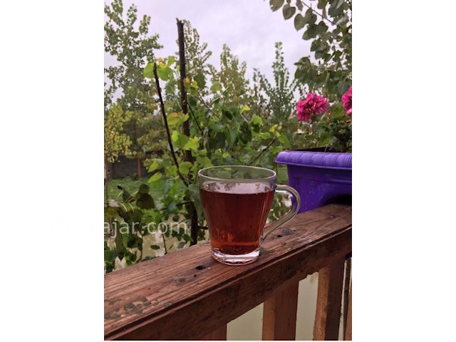 عکس شماره 513041 - اجاره کلبه چوبی نزدیک رشت - 