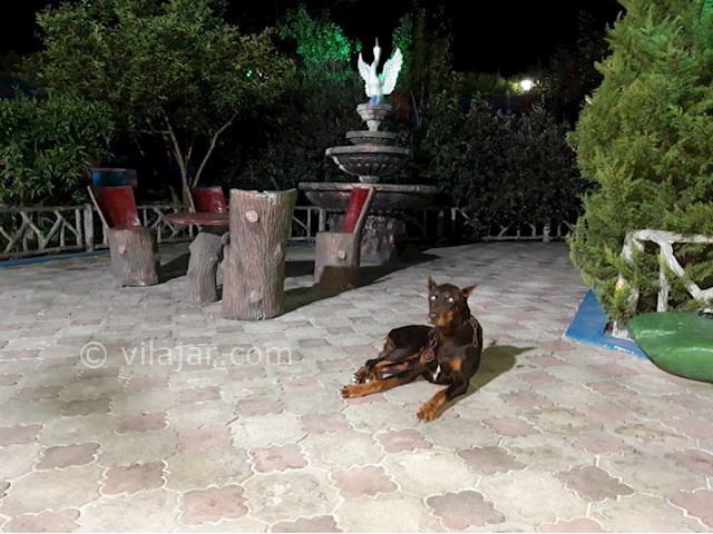 عکس شماره 515399 - اجاره ویلای استخردار لوکس - 