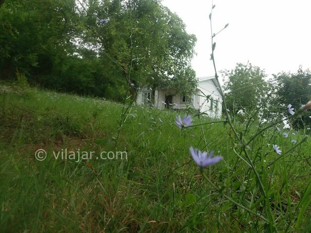 عکس شماره 517215 - اجاره ویلا در ماسال اولم - 