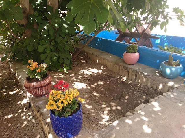 عکس شماره 517995 - اقامتگاه سنتی خانه مادربزرگ - 