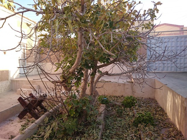 عکس شماره 518005 - اقامتگاه سنتی خانه مادربزرگ - 