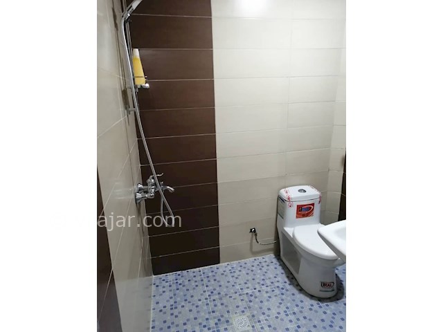 عکس شماره 521735 - اجاره ویلا استخردار در شیرود - 