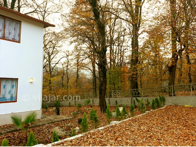 عکس شماره 524517 - اجاره ویلا جنگلی در نور - 