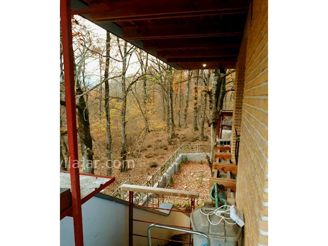 عکس شماره 524521 - اجاره ویلا جنگلی در نور - 