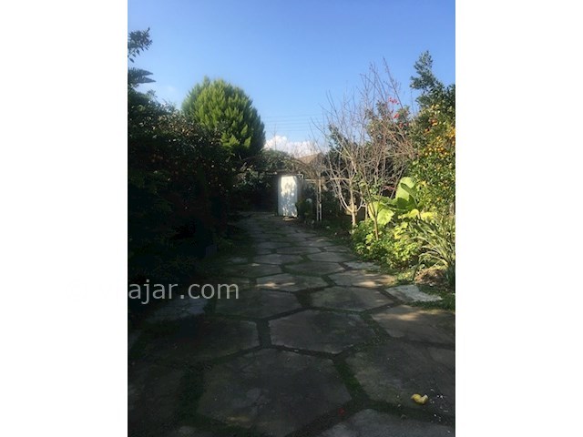 عکس شماره 528007 - اجاره ویلا دربست در شیرود - 