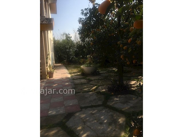 عکس شماره 528009 - اجاره ویلا دربست در شیرود - 