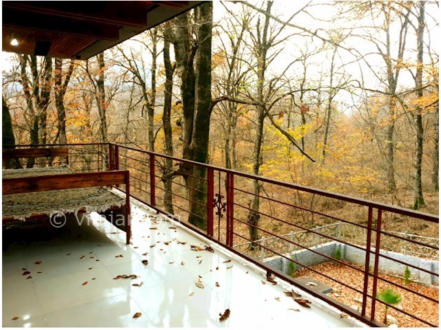 عکس شماره 528021 - اجاره ویلا جنگلی در نور - 