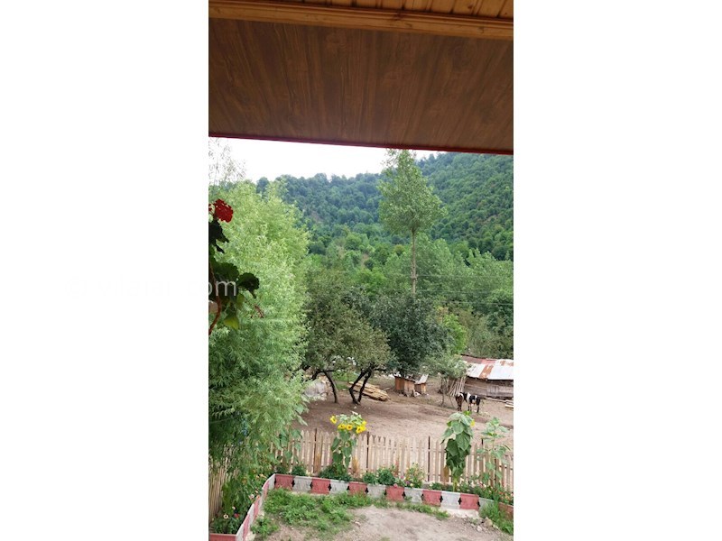 عکس شماره 531273 - اجاره ویلای چوبی در ماسال - 