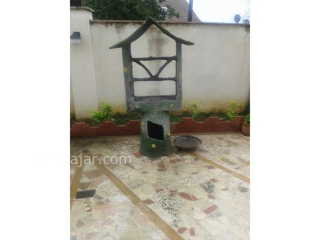 عکس شماره 53461 - اجاره ویلا با استخر روباز - 