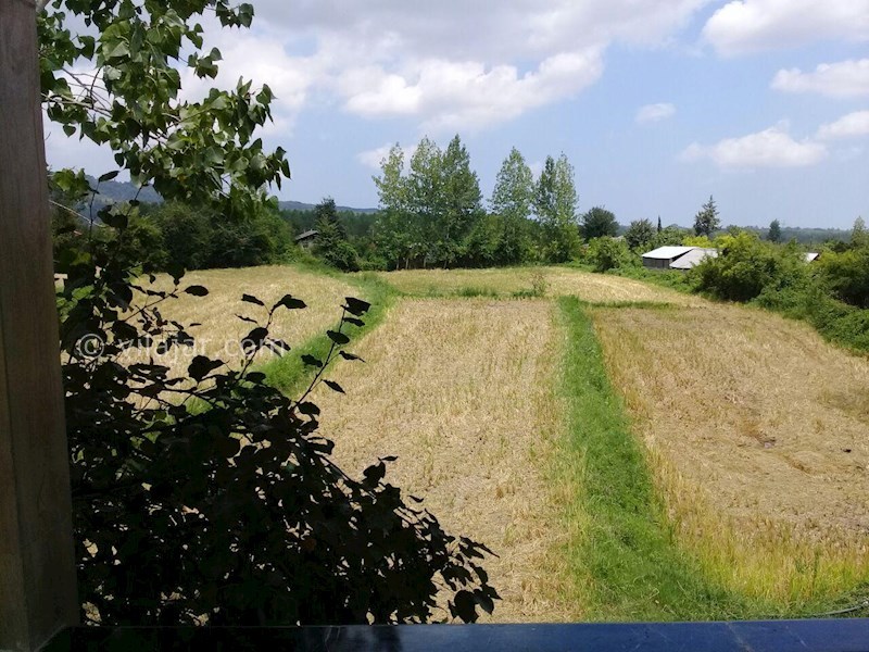 عکس شماره 535182 - اجاره ویلا در شاندرمن گیلان - 