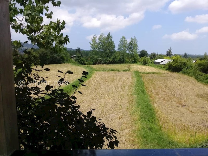 عکس شماره 535187 - اجاره ویلا در شاندرمن گیلان - 