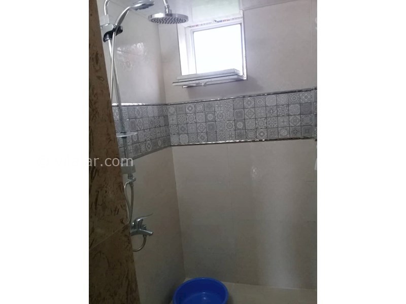 عکس شماره 535197 - اجاره ویلا در شاندرمن گیلان - 