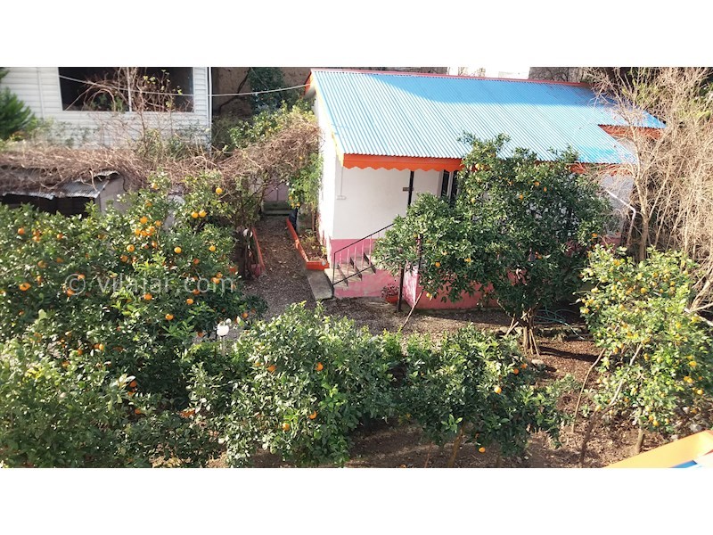 عکس شماره 535265 - اجاره ویلا در باغ مرکبات در رامسر - نما از بالا