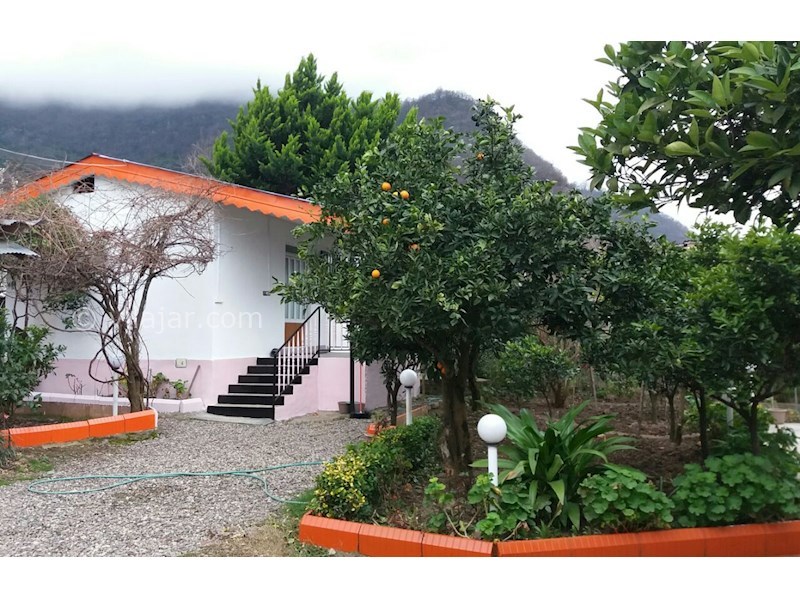 عکس شماره 535285 - اجاره ویلا در باغ مرکبات در رامسر - نما در پاییز