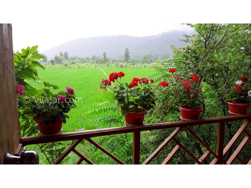 عکس شماره 535796 - کلبه چوبی با جکوزی در ماسال -