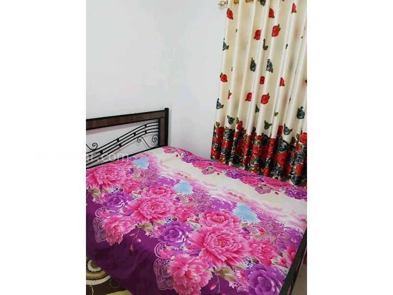 عکس شماره 535908 - اجاره ویلا با جکوزی و استخر لب دریا - 