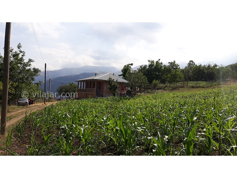 عکس شماره 536925 - اجاره ویلای ییلاقی در تالش - 