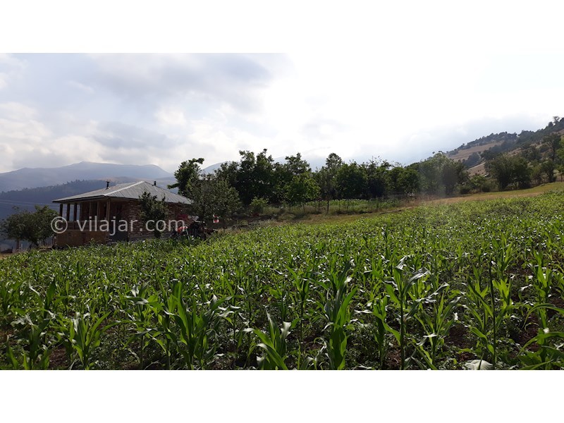 عکس شماره 536932 - اجاره ویلای ییلاقی در تالش - 