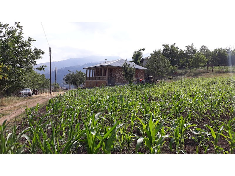 عکس شماره 536933 - اجاره ویلای ییلاقی در تالش - 