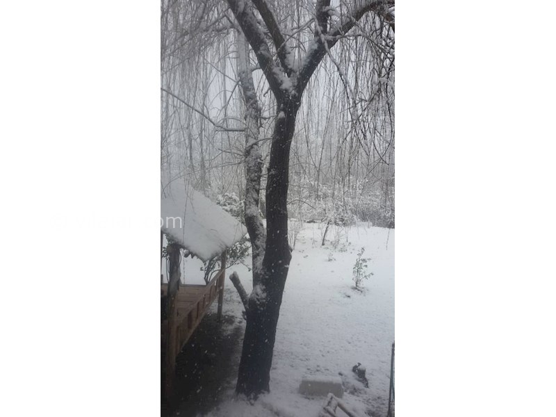 عکس شماره 536962 - ویلا اجاره ای در رضوانشهر -