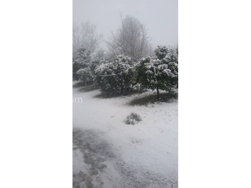 عکس شماره 536963 - ویلا اجاره ای در رضوانشهر -