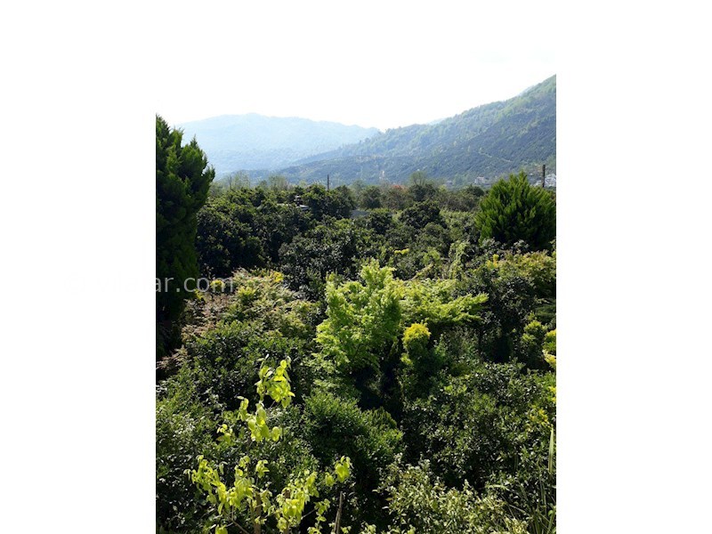 عکس شماره 538275 - اجاره ویلا باغ در چابکسر - 