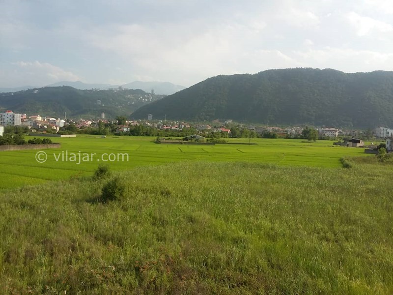 عکس شماره 539547 - اجاره اقامتگاه ساحلی در رامسر - 