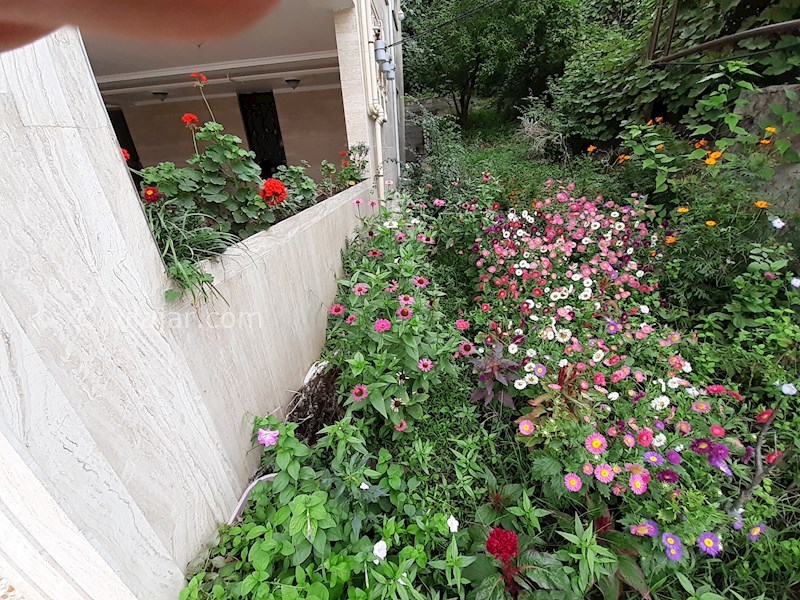 عکس شماره 540928 - اجاره واحد ساحلی در تالش - 