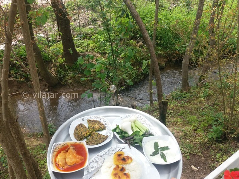 عکس شماره 542916 - اجاره ویلا باغ جنگلی شاندرمن - 