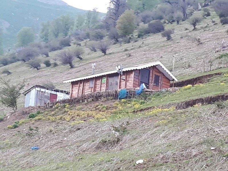 عکس شماره 543797 - رزرو کلبه چوبی در اولسبلنگاه - عکس از زاویه پایین کلبه