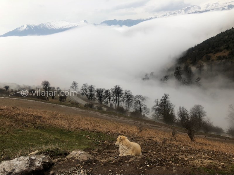 عکس شماره 543807 - رزرو کلبه چوبی در اولسبلنگاه - تماشای دریاچه ابر یک روز زمستانی از کلبه