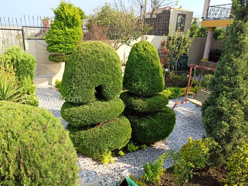 عکس شماره 545827 - رزرو ویلا ساحلی در چالکرود رامسر -