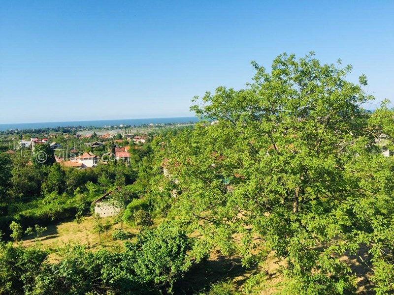 عکس شماره 546169 - اجاره ویلا در سرولات چابکسر - 