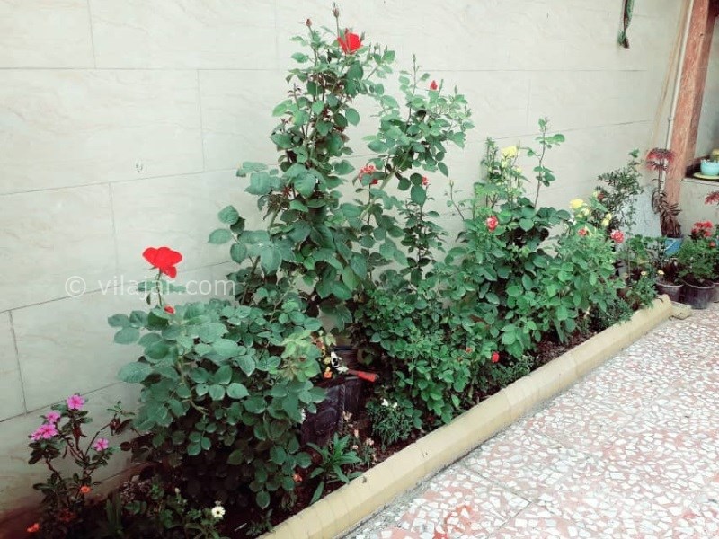 عکس شماره 546876 - اجاره ویلا در علی آباد کتول - 