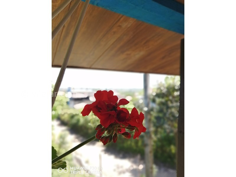 عکس شماره 547741 - اجاره اقامتگاه سنتی در رامسر - 