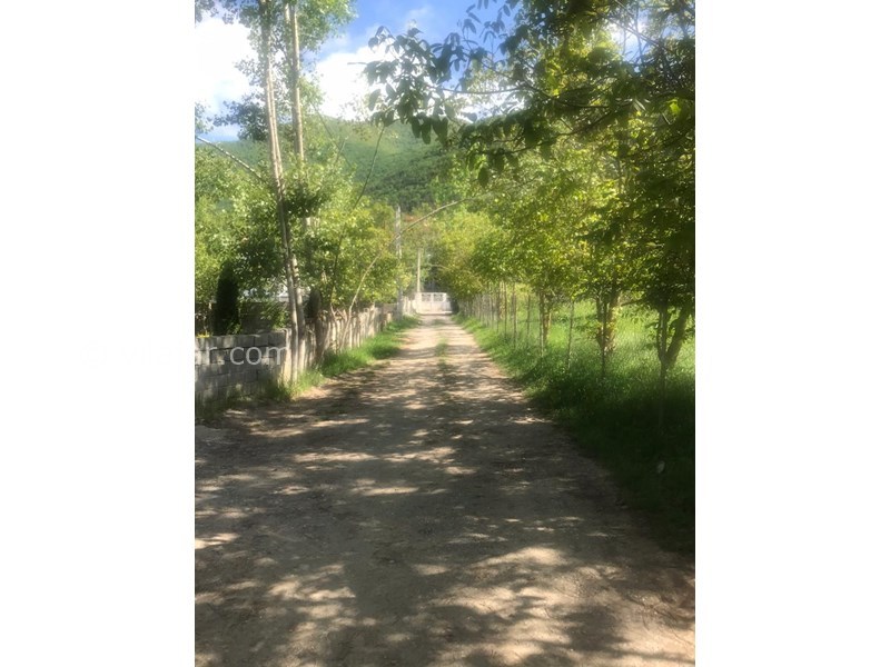 عکس شماره 548619 - اجاره ویلای جنگلی در کلاردشت - 