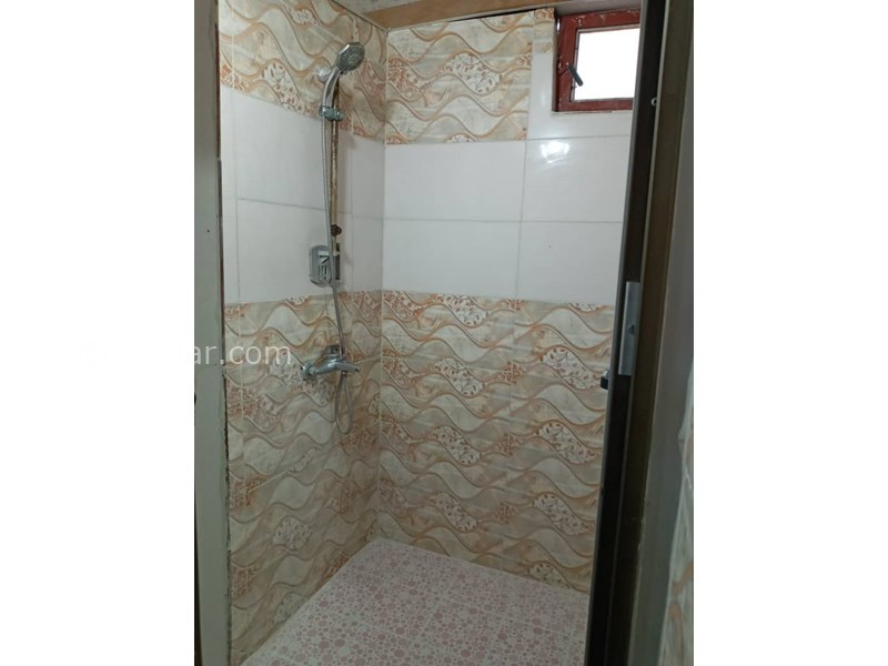 عکس شماره 548776 - اجاره ویلا باغ در تالش - 