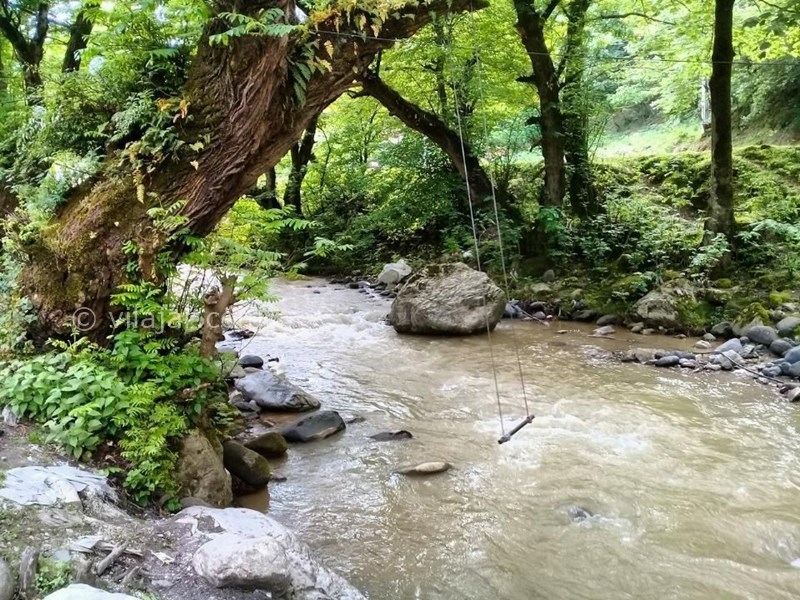 عکس شماره 548815 - اجاره سوییت نزدیک اسالم - 