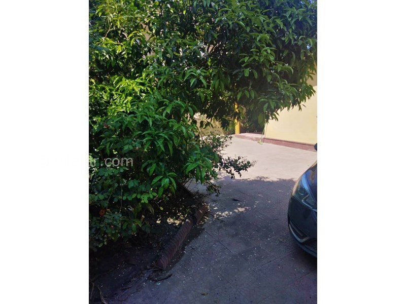 عکس شماره 550243 - اجاره ویلای ساحلی شمال نور - 