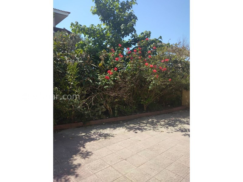 عکس شماره 550250 - اجاره ویلای ساحلی شمال نور - 